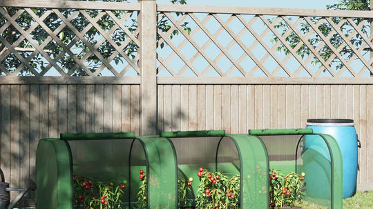 Polytunnels for Allotments: Top Picks & Deal