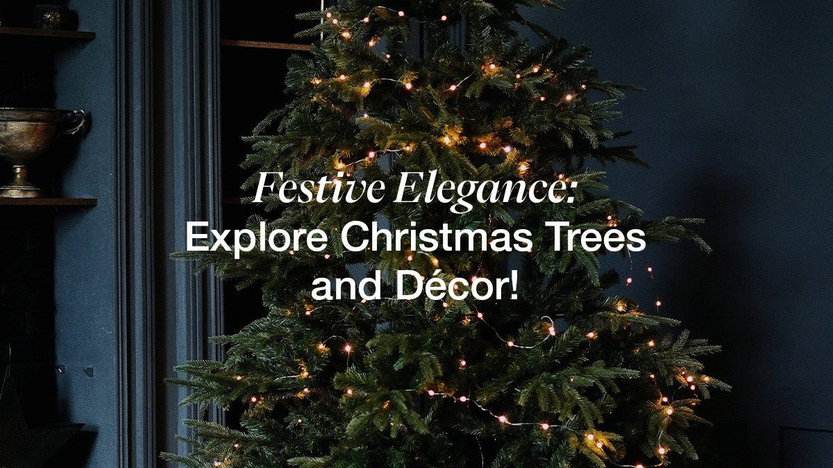 christmas-trees-anydaydirect.com