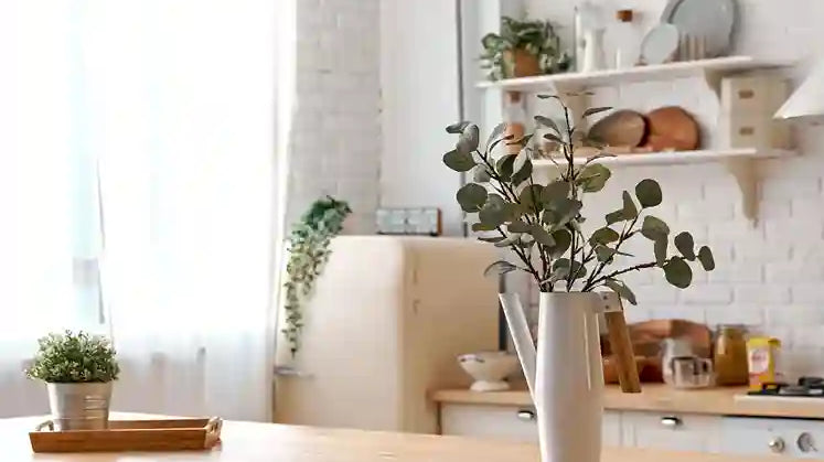 How To Set Up A Sustainable Kitchen