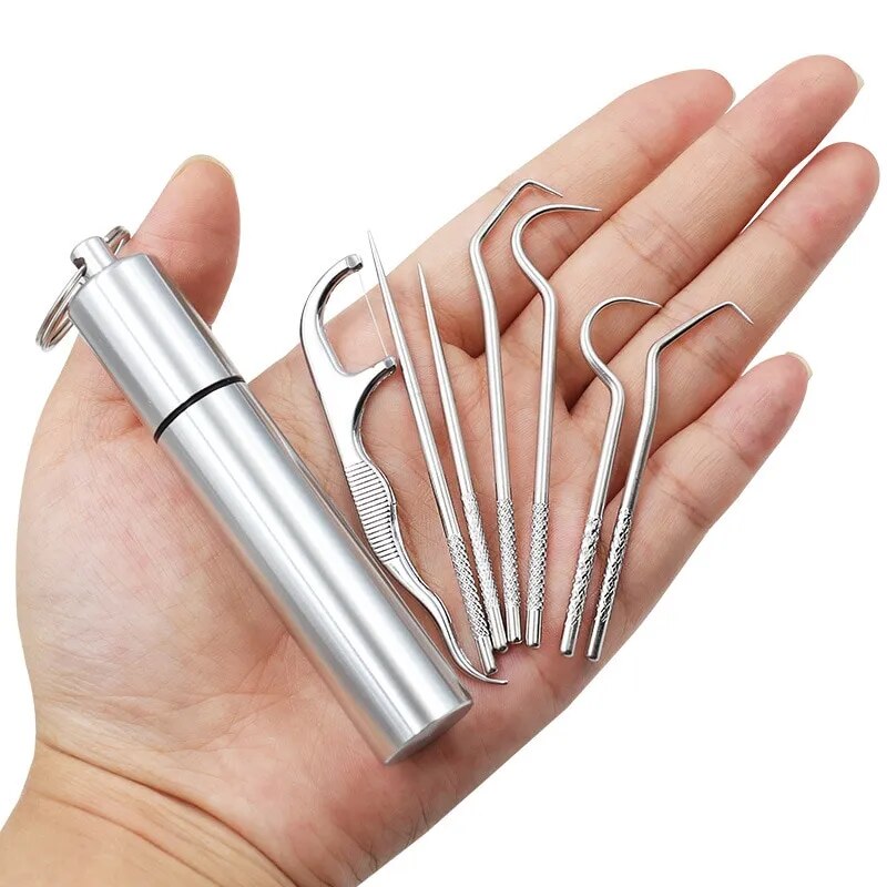 Stainless Steel Toothpick Set Portable Toothpick Holder Care Metal Dental Cleaning Tools Seven Pieces Set - anydaydirect