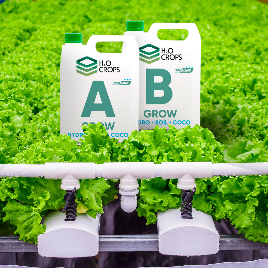 HydroGrowSystem Hydroponic Nutrients  Growth Kit H2O Crops A and B • Soil • COCO - anydaydirect