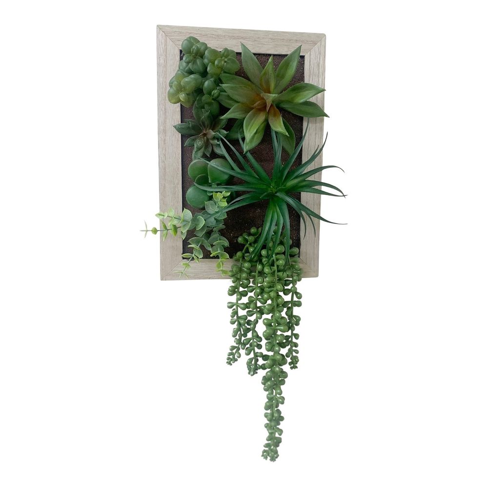 Artificial Succulents In Wooden Frame - anydaydirect