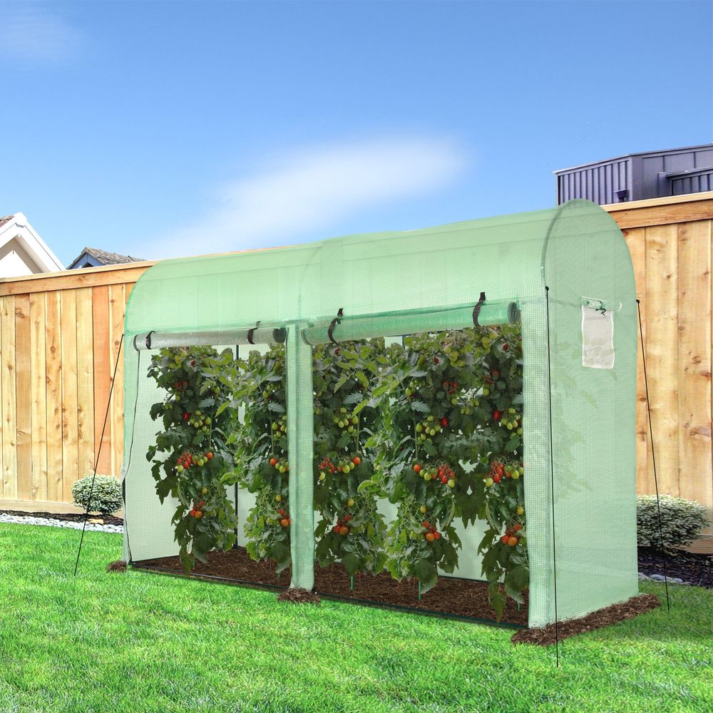 Plant Tomato Growth Greenhouse Double Doors & 4 Windows  3Lx1Wx2Hm - anydaydirect