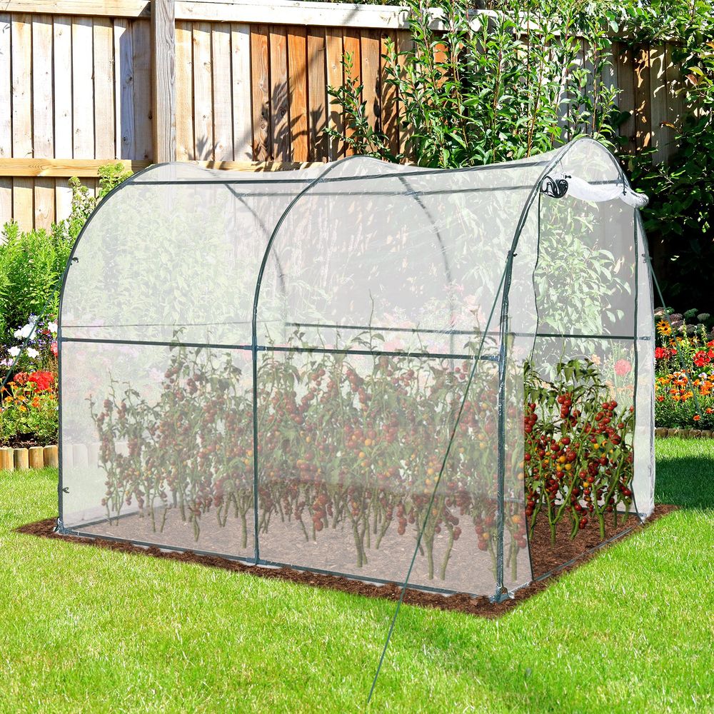 Walk in Transparent Greenhouse, Steel Frame - anydaydirect
