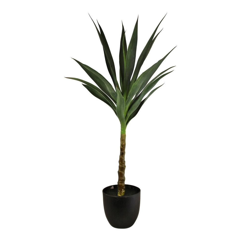 Artificial Single Trunk Yucca Tree, 80cm - anydaydirect