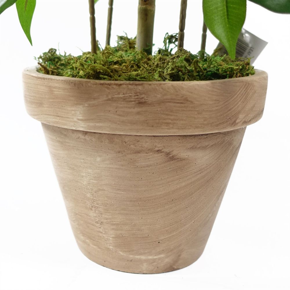 60cm Artificial Mini Ficus Bush Plant in Decorative Planter - anydaydirect