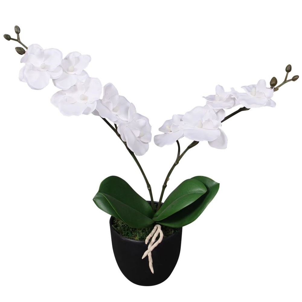 Artificial Orchid Plant with Pot 30 cm - 75cm White, Red, Pink - anydaydirect
