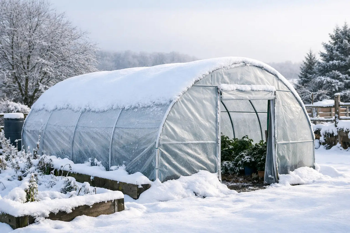 Can Polytunnels Survive Winter? A UK Guide
