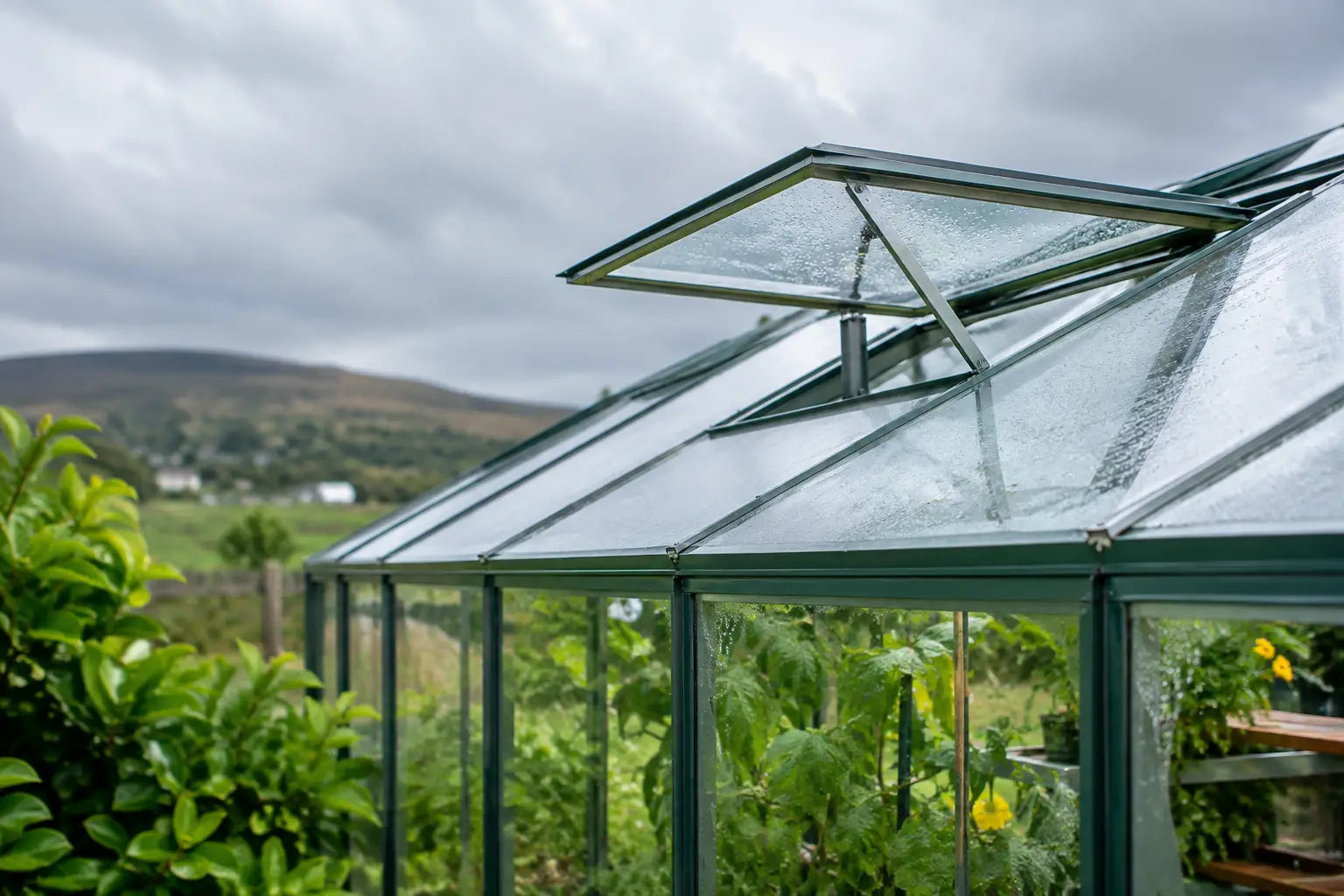 How to Ventilate a Greenhouse in British Weather