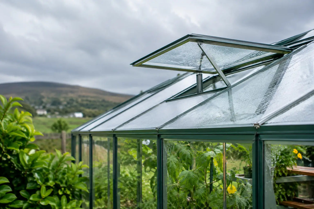 How to Ventilate a Greenhouse in British Weather