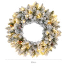 HOMCOM 60cm Pre-Lit Christmas Wreath for Front Door with LED Lights, Pine Cones and Red Berries, Flocked Winter Wreath for Windows, Wall Decoration, Green - anydaydirect