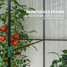 Outsunny Walk-in Greenhouse, Outdoor Tomato Greenhouse with Roll-up Door and Mesh Windows, PE Cover, 200 x 140 x 200cm, White - anydaydirect