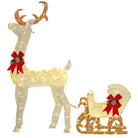 Outsunny 170 LED Light Reindeer and Sleigh Christmas Decoration - anydaydirect