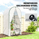 Outsunny Mini Greenhouse, Portable Green House with Roll-Up Door, PE Base, Small Greenhouse, 100 x 100 x 195 cm, White - anydaydirect