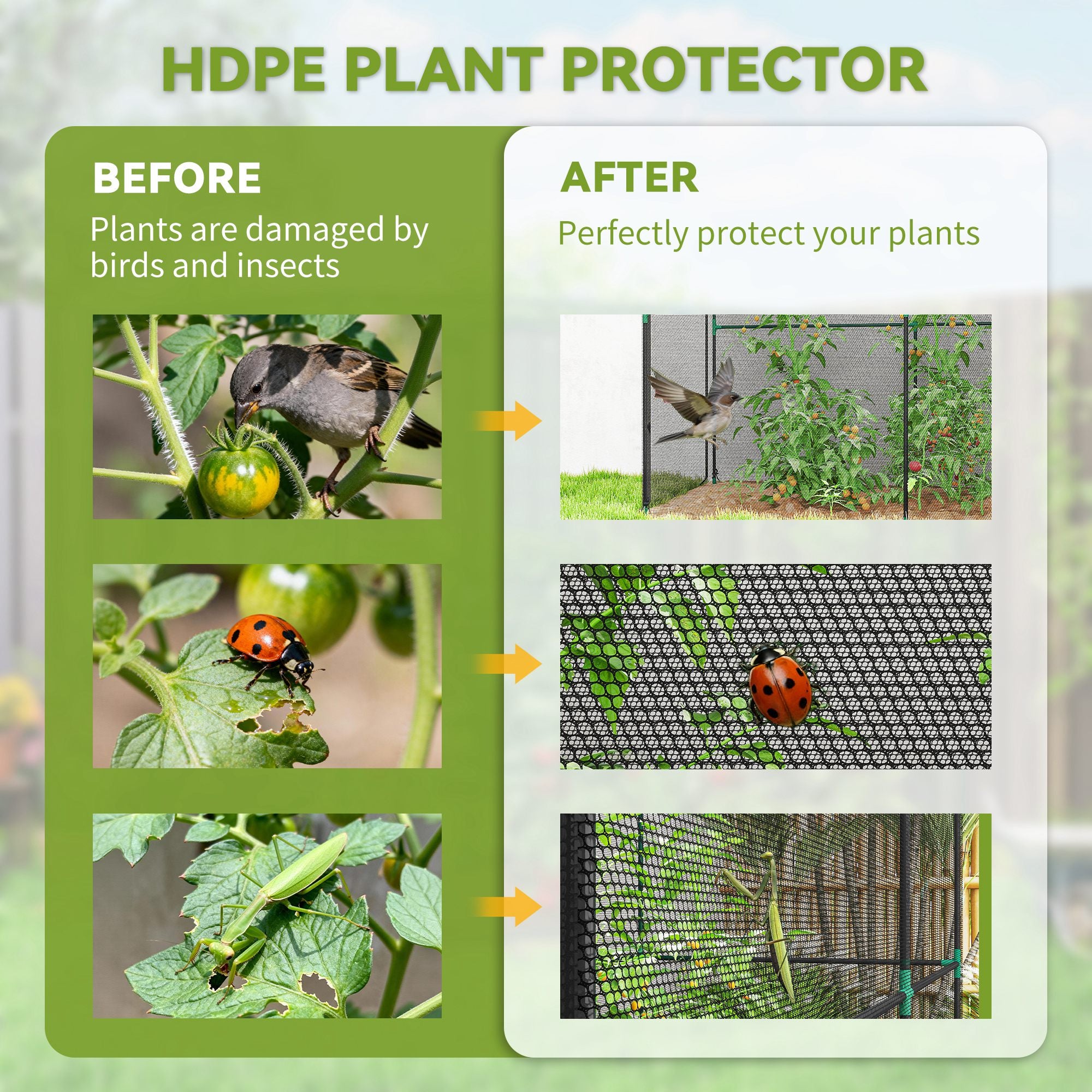 Outsunny Fruit Cage Bird Netting, Brassica Cage Plant Protection Tent with Zipped Door, Anti Bird, Insects, Small Animals, Black - anydaydirect