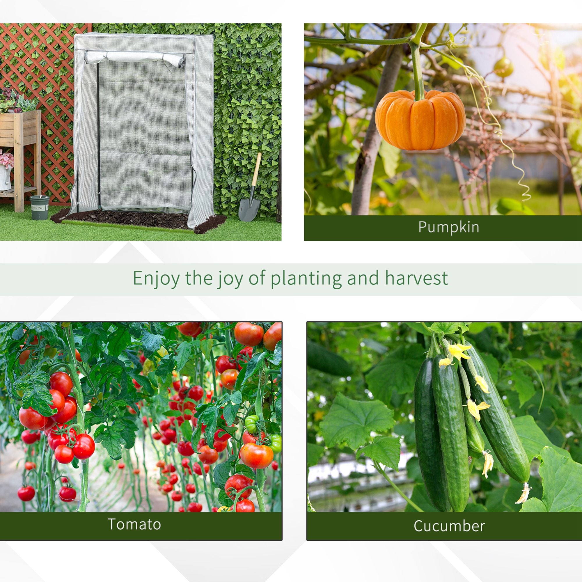 Outsunny 100 x 50 x 150cm Tomato Greenhouse with Roll-up Door, Mini Greenhouse with PE Cover, Outdoor Grow House Small Green House for Yard, Balcony, Garden, White - anydaydirect