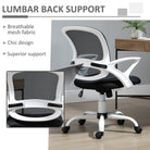 Vinsetto Office Chair Mesh Swivel Desk Chair with Lumbar Back Support Adjustable Height Armrests Black - anydaydirect