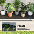 Outsunny Foldable Small Greenhouse, Portable Green House Mini Greenhouse with Zipper Door, PE Base, 200 x 80 x 164 cm, Green - anydaydirect