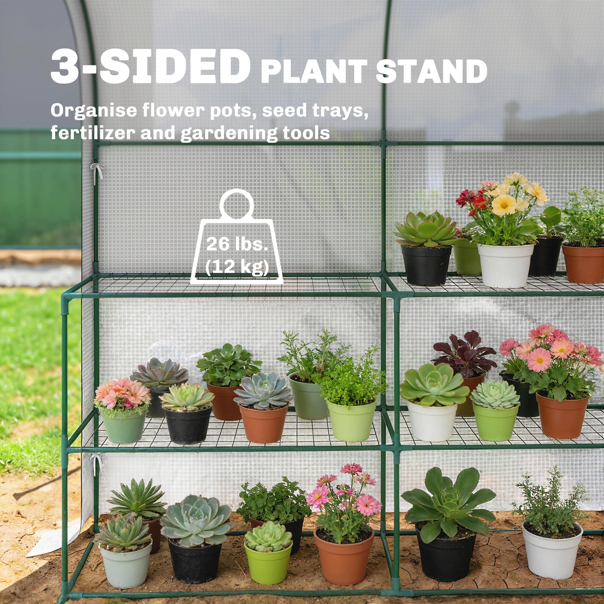 Outsunny Walk-in Greenhouse with Shelves, Small Greenhouse with PE Cover and Roll-up Door, 123 x 187 x 189 cm, White - anydaydirect