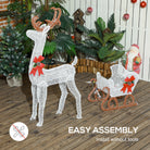 Outsunny 170 LED Light Reindeer and Sleigh Christmas Decoration - anydaydirect