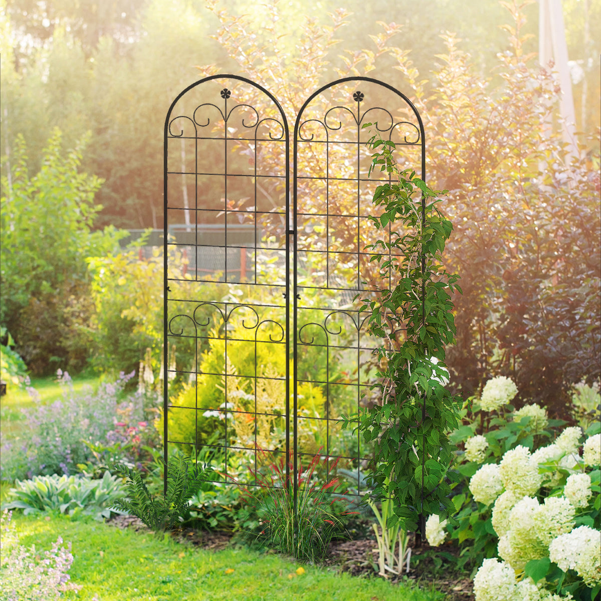 Outsunny Metal Trellis Set of 2, Garden Trellis for Climbing Plants Su ...