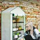 Outsunny Four-Tier Mini Greenhouse 2026, with Reinforced Plastic Cover - anydaydirect