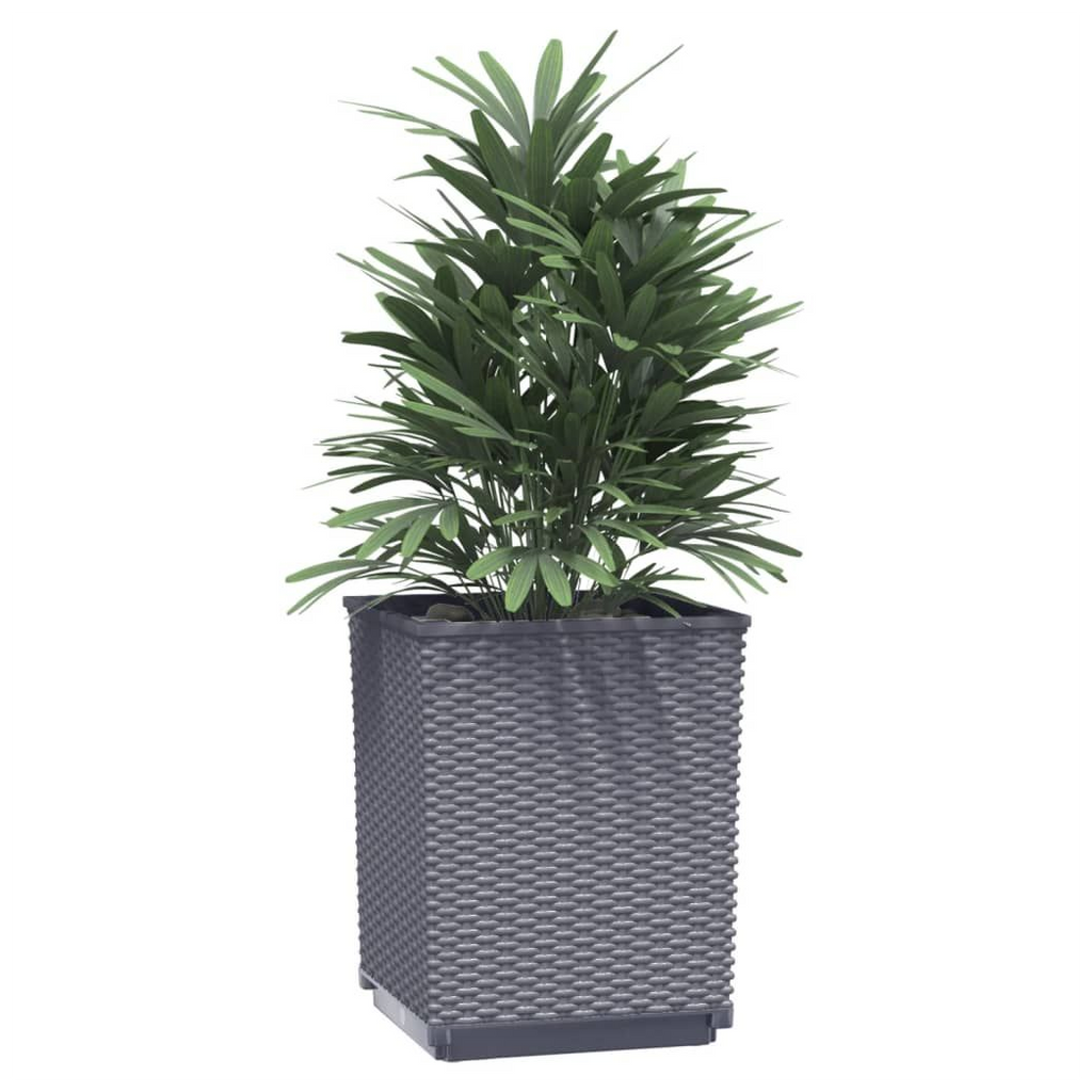 vidaXL Planters 2 pcs Dark Grey 30x30x37 cm Polypropylene - anydaydirect