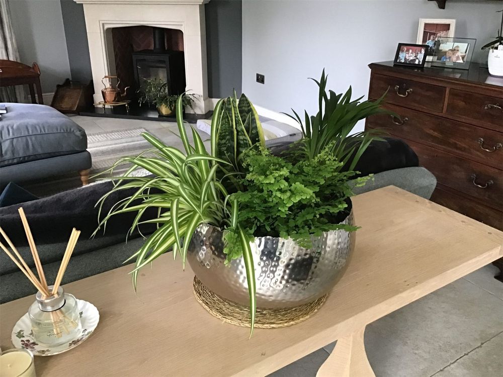 Leaf Large Metal Planter Bowl 32 x 20cm Hammered Silver Colour - Curvy Edge - anydaydirect