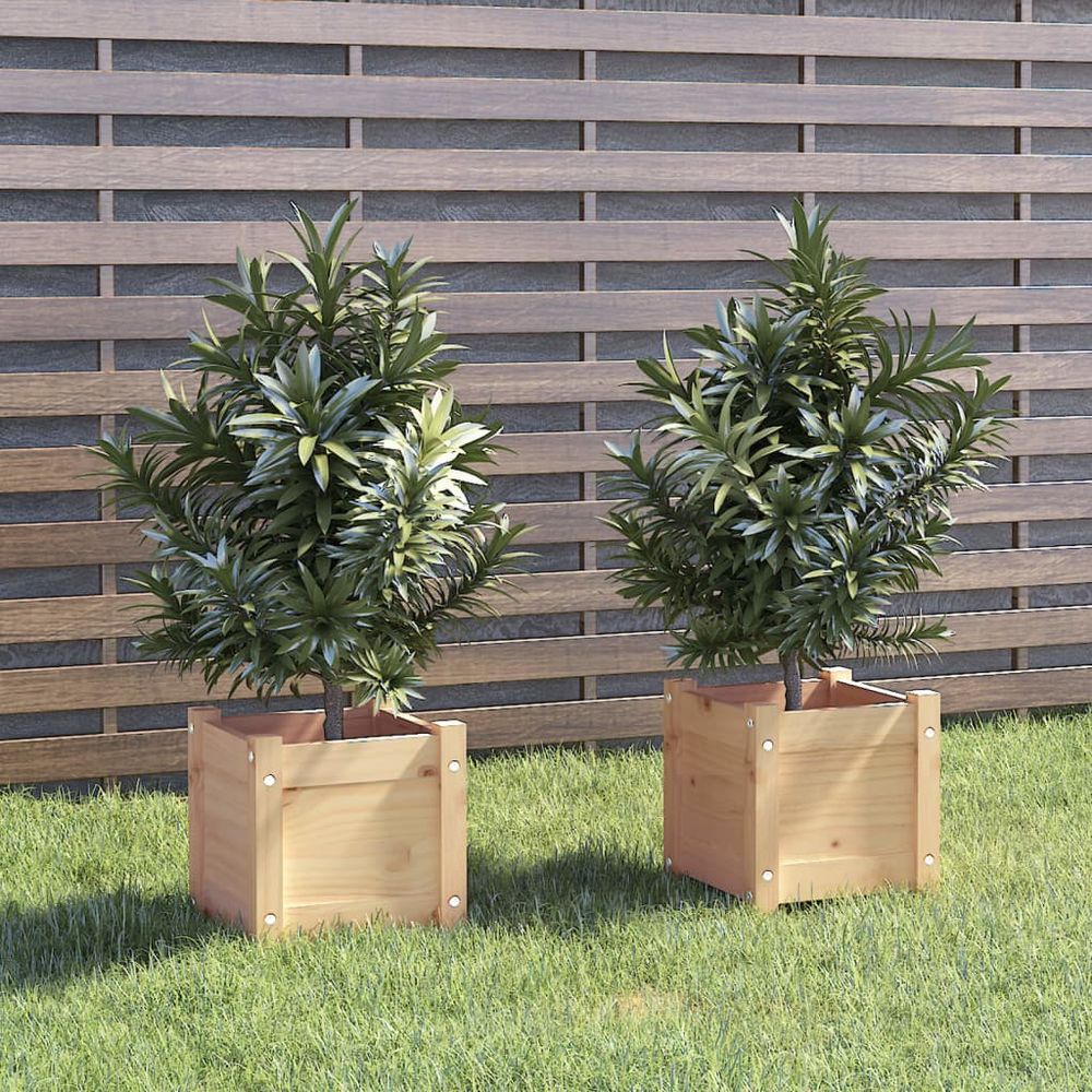 vidaXL Garden Planters 2 pcs 31x31x31 cm Solid Pinewood - anydaydirect