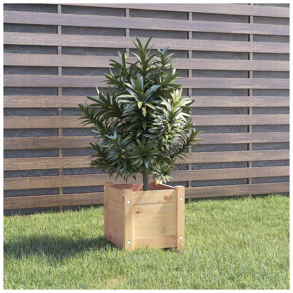 vidaXL Garden Planters 2 pcs 31x31x31 cm Solid Pinewood - anydaydirect