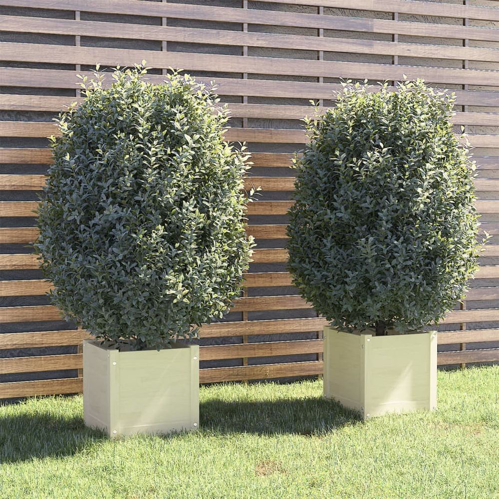 vidaXL Garden Planters 2 pcs 40x40x40 cm Solid Pinewood - anydaydirect