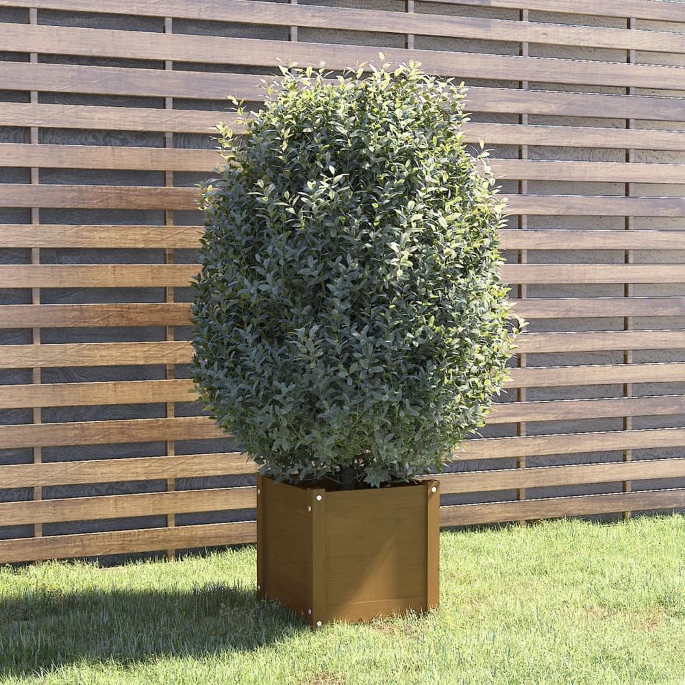 vidaXL Garden Planters 2 pcs 40x40x40 cm Solid Pinewood - anydaydirect