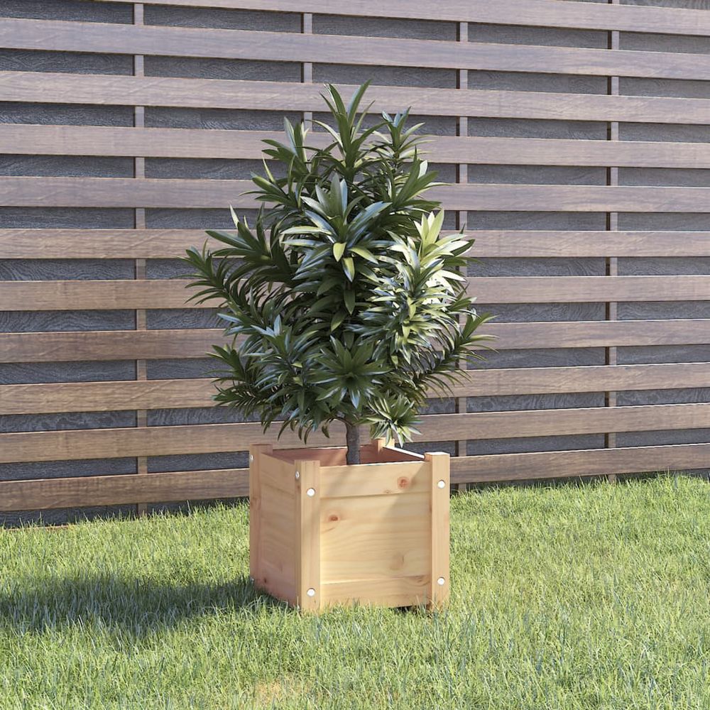 vidaXL Garden Planters 2 pcs 31x31x31 cm Solid Pinewood - anydaydirect