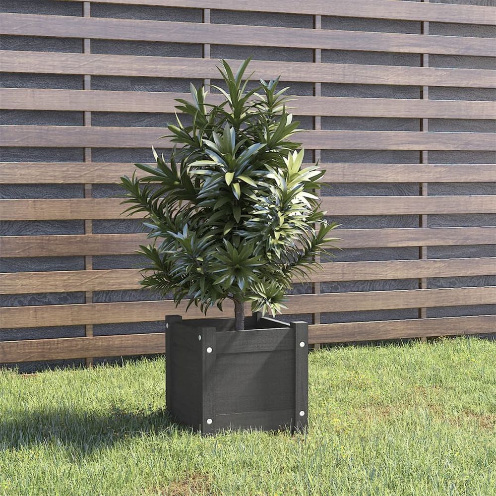 vidaXL Garden Planters 2 pcs 31x31x31 cm Solid Pinewood - anydaydirect