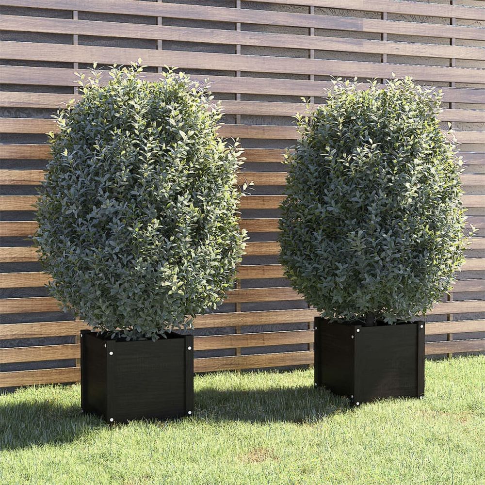 vidaXL Garden Planters 2 pcs 40x40x40 cm Solid Pinewood - anydaydirect