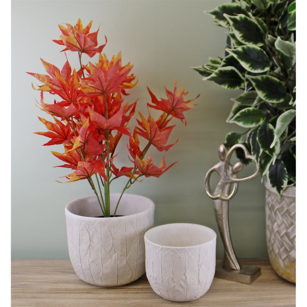 Set of 2 Cement Embossed Leaf Planters - anydaydirect