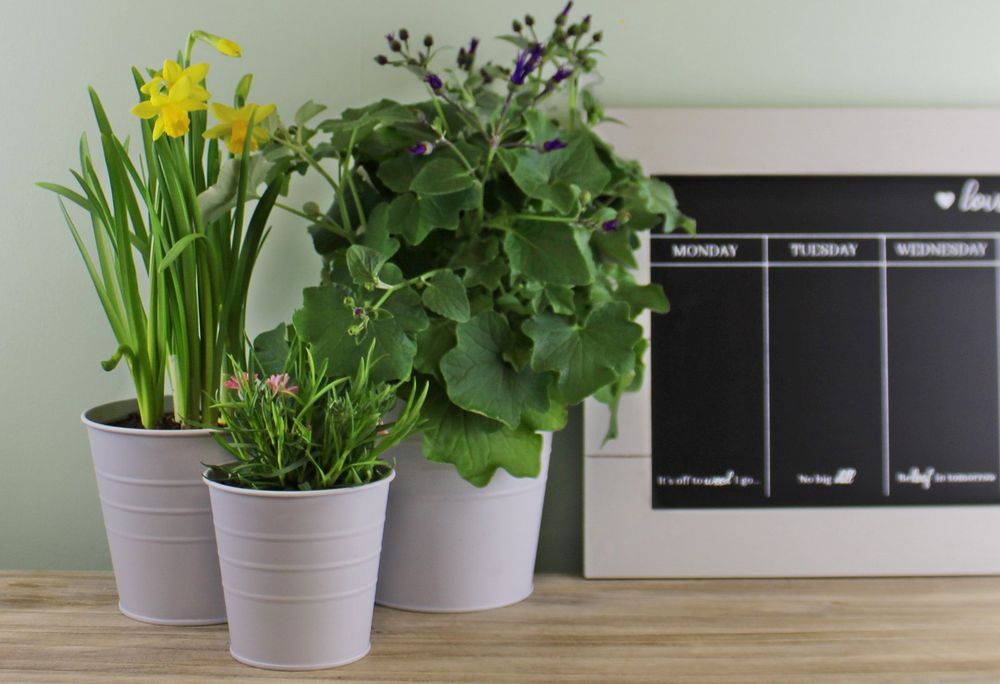 Set of 3 Round Metal Planters, Grey - anydaydirect