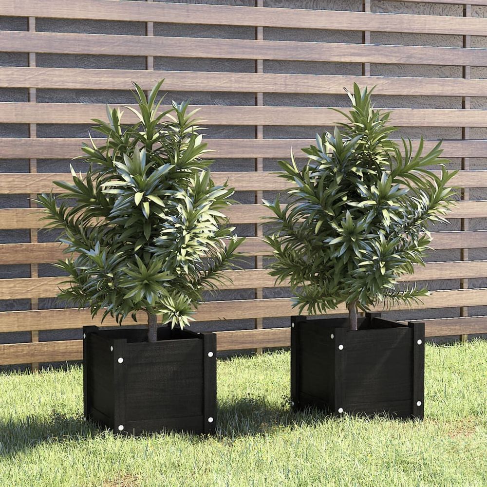 vidaXL Garden Planters 2 pcs 31x31x31 cm Solid Pinewood - anydaydirect