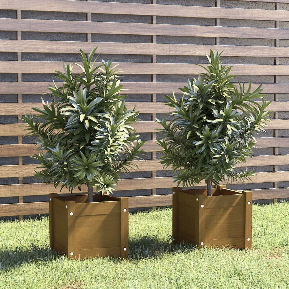 vidaXL Garden Planters 2 pcs 31x31x31 cm Solid Pinewood - anydaydirect