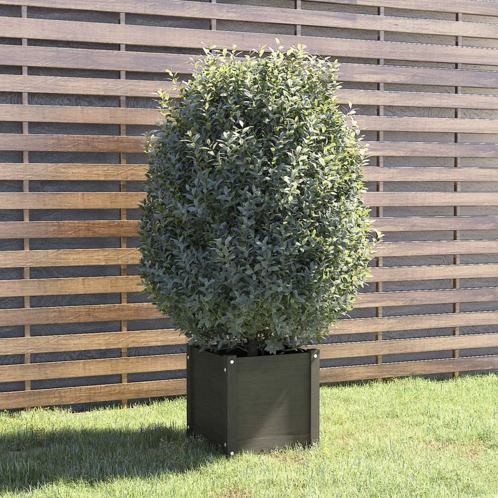 vidaXL Garden Planters 2 pcs 40x40x40 cm Solid Pinewood - anydaydirect