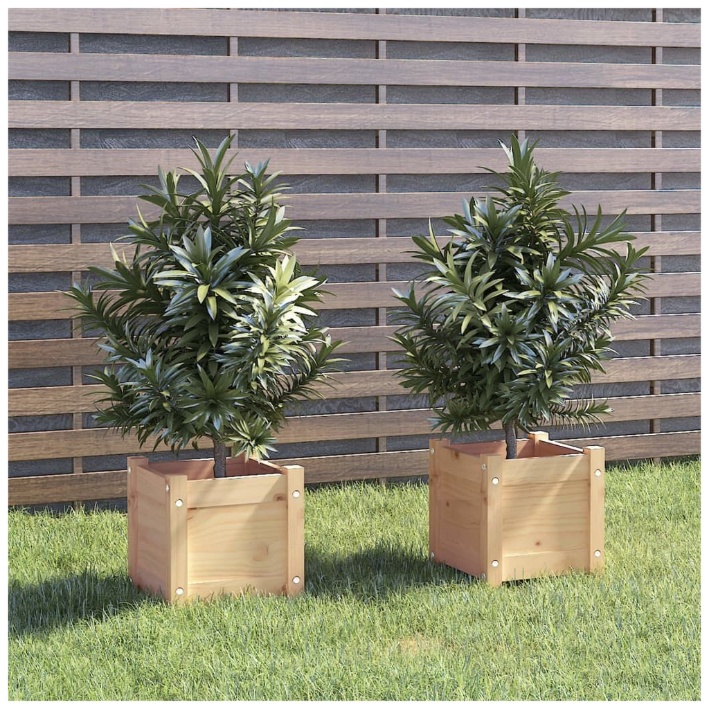 vidaXL Garden Planters 2 pcs 31x31x31 cm Solid Pinewood - anydaydirect