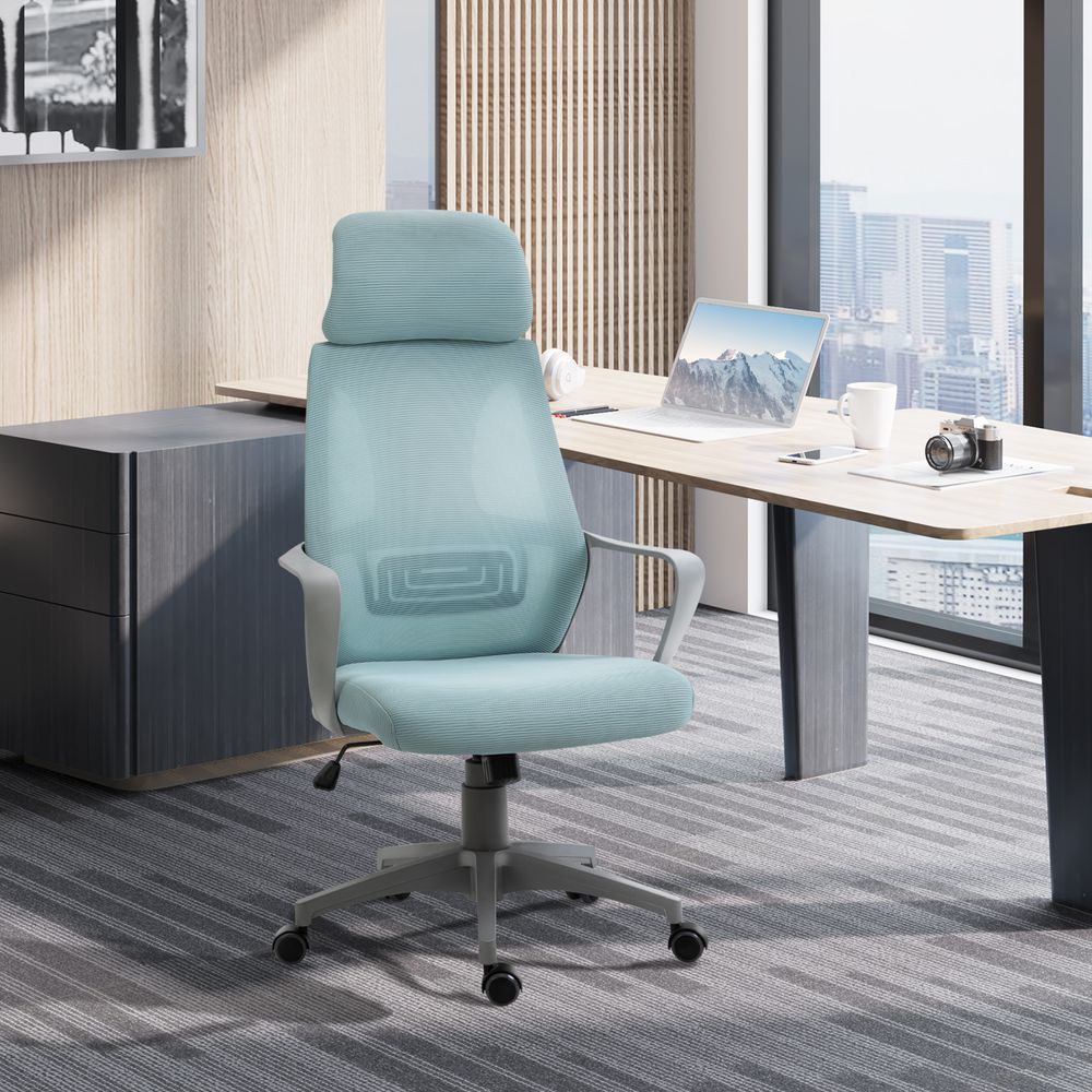 Mesh Back Office Chair w/ Adjustable Height Padded Headrest Blue Vinsetto - anydaydirect