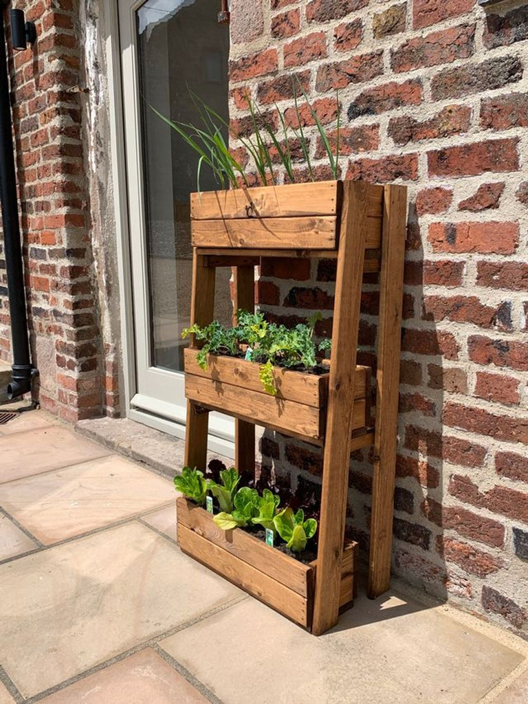 Regular Herb Garden Planter - anydaydirect