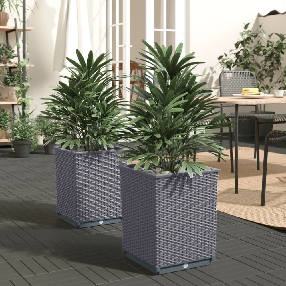 vidaXL Planters 2 pcs Dark Grey 30x30x37 cm Polypropylene - anydaydirect