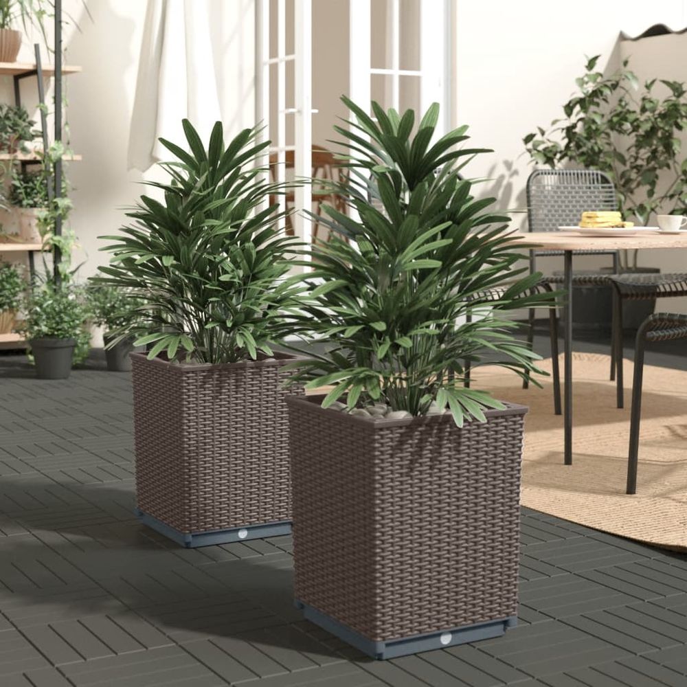 vidaXL Planters 2 pcs Dark Grey 30x30x37 cm Polypropylene - anydaydirect