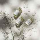 BRAE - Bond Angel, Power Dose 12ml - anydaydirect