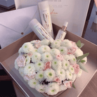 BRAE - Divine Conditioner Anti-Frizz 250ml - anydaydirect