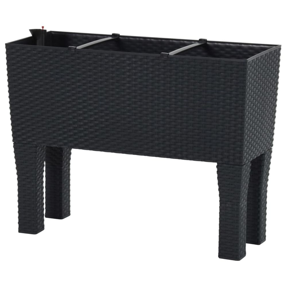 Raised Garden Bed Anthracite 60x25x46 cm PP Rattan - anydaydirect