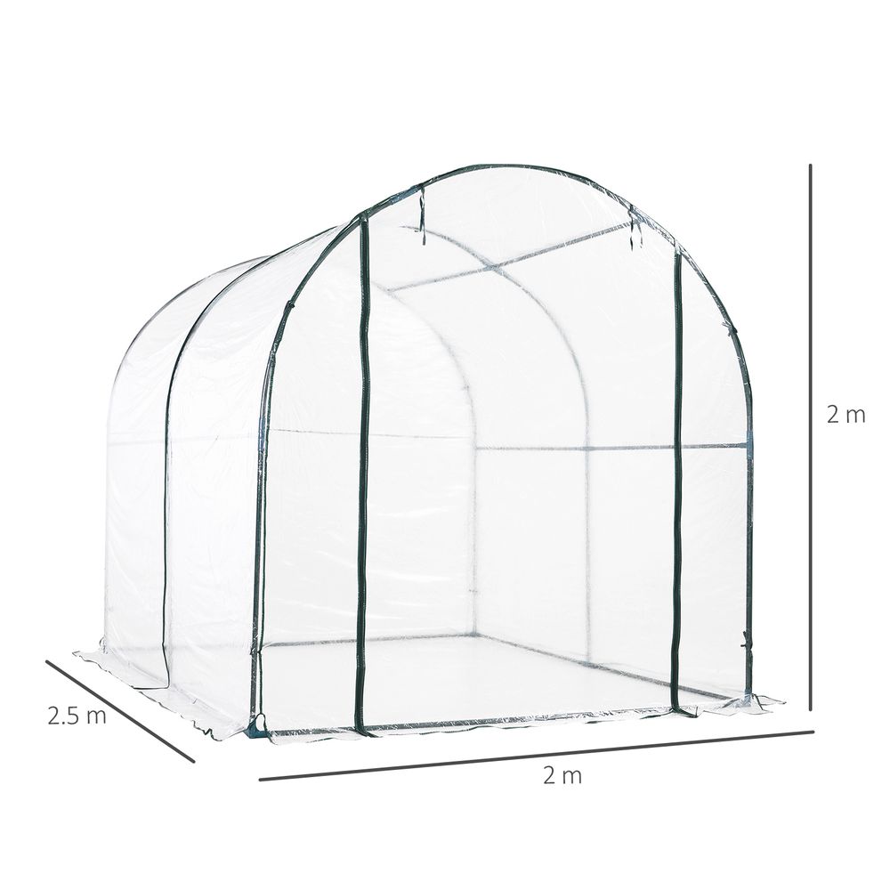 Walk in Transparent Greenhouse, Steel Frame - anydaydirect