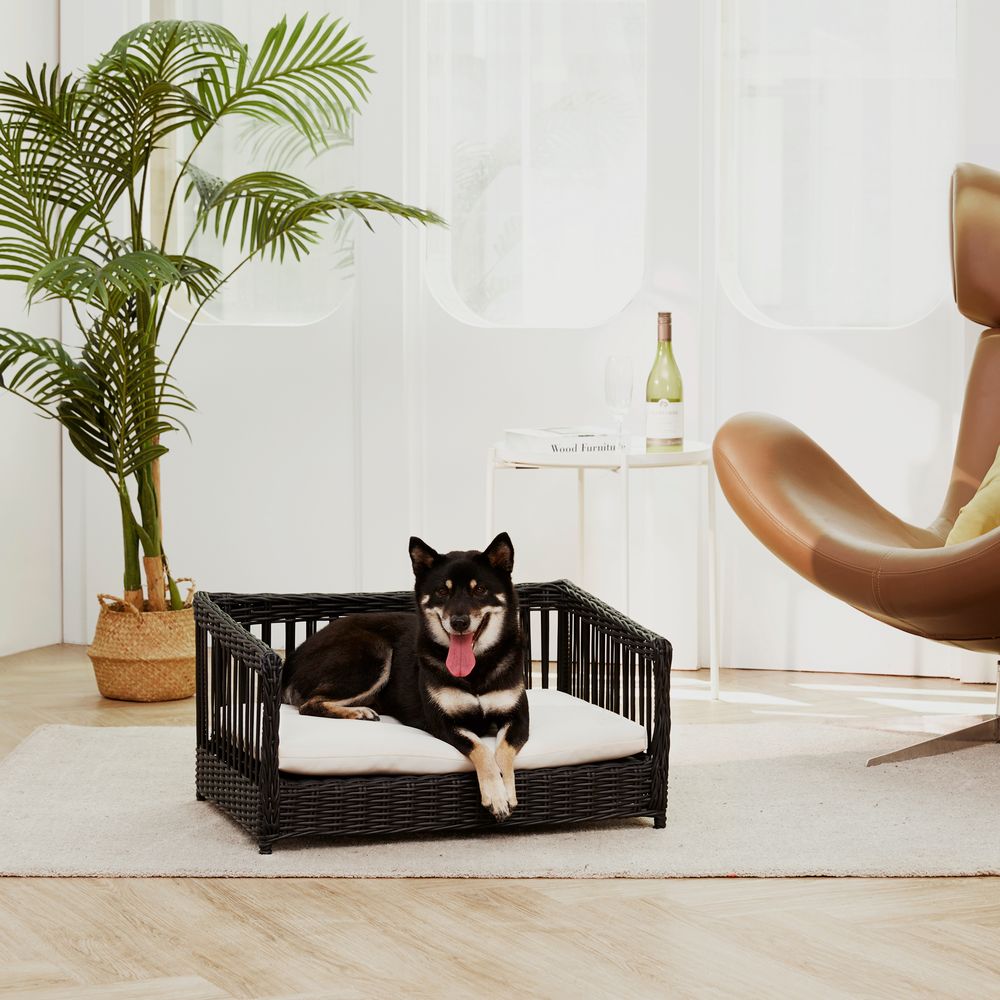 Indoor Outdoor Rattan Cat or Small Dog Bed Water Resistant - anydaydirect